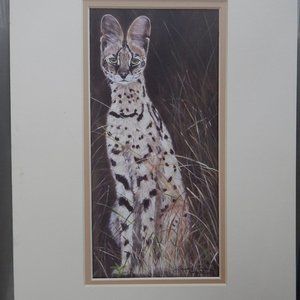 Serval Cat print, 11 x 14